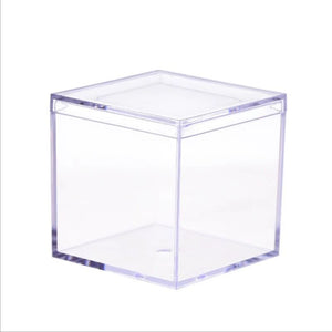 Miniature Display Case